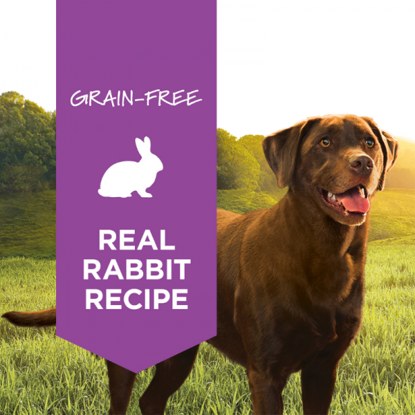 Instinct Dog Can Original - Rabbit Formula - Imagen 4