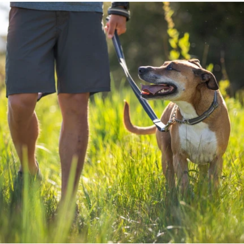 Chain Reaction Collar RUFFWEAR Maskoticas CR