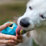 Gnawt -A- Cone Toy - RUFFWEAR