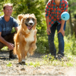 Huckama Toy - RUFFWEAR