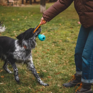 Huck -A-Cone Toy - RUFFWEAR