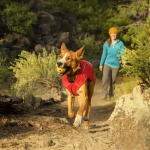 Turnup Toy - RUFFWEAR