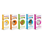 Bravecto Masticable Perro -Antiparasitario Externo Para Perros
