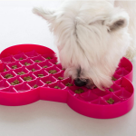 Lickimat Slodog