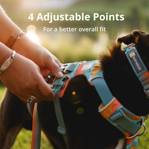 Pechera Front Range Dog Ruffwear - Imagen 5
