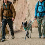 Correa Knot a Leash