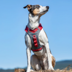 Pechera para perros Journey Air