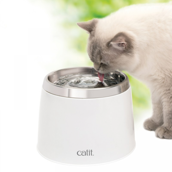 Fuente de Acero Inoxidable Cat It