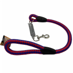Correa para mascota corta