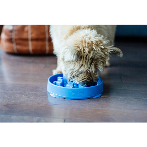 Plato comida lenta para perros Fun Feeder