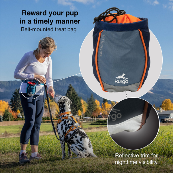 Bolsa de golosinas para perros Go Stuff It - Imagen 3