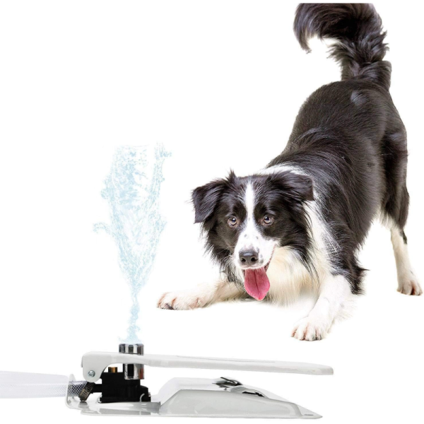 Pedal Automático fuente de agua para perro - Imagen 3