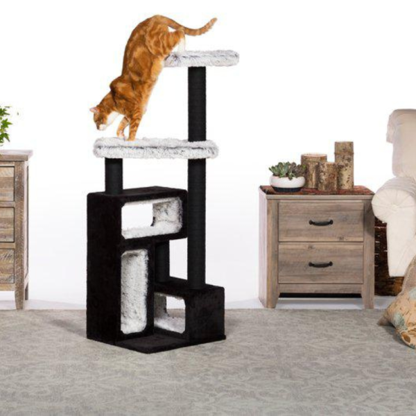 Kitty Power Paws Domino - Imagen 3