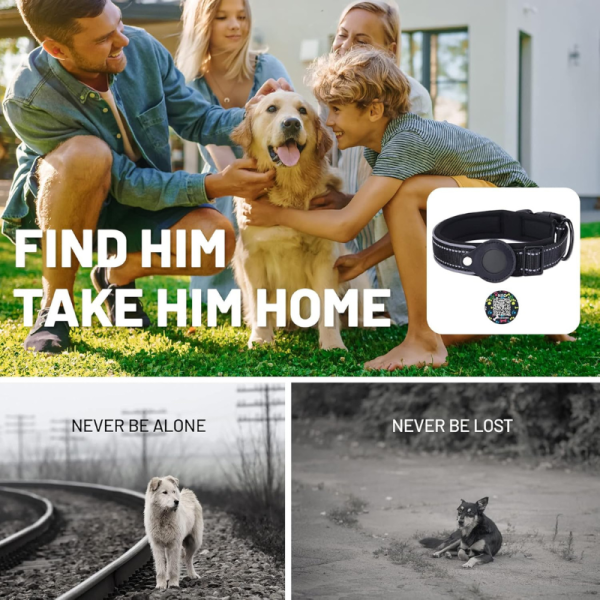 Collar de perro para dispositivo código QR - Imagen 4