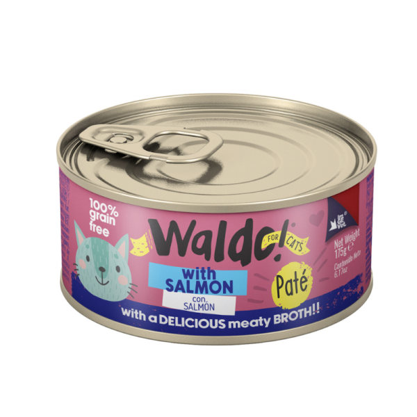 Lata Salmon Flavor Waldo (Salmón)