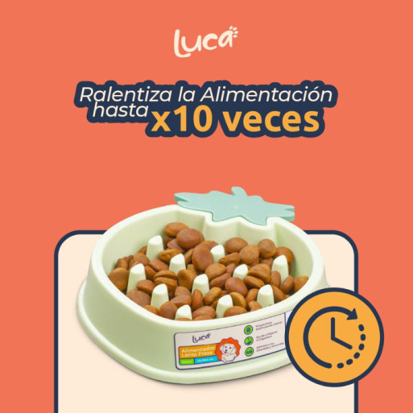 Comedero Lento Fresa - Luca - Imagen 3