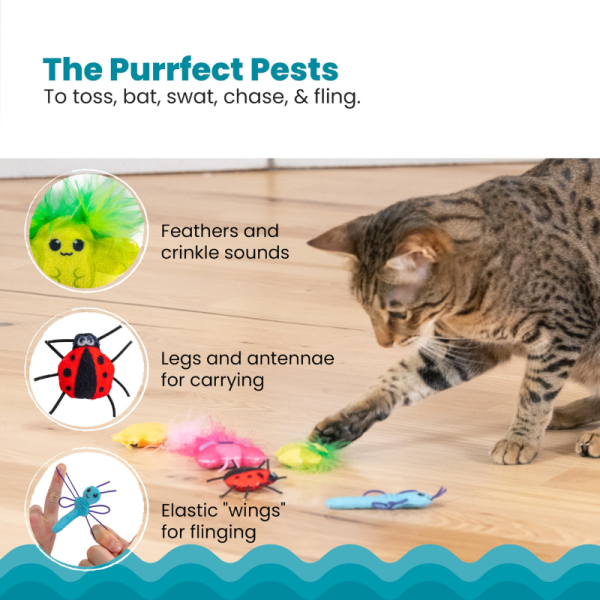 Juguetes interactivos de peluche Cute As A Bug 6 pk Catstages - Imagen 5
