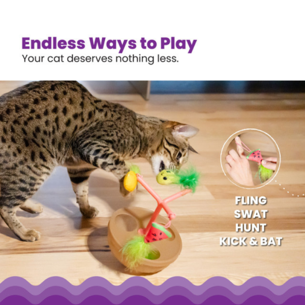 Juguete Hunt N' Wobble Fruit Bowl - Imagen 6