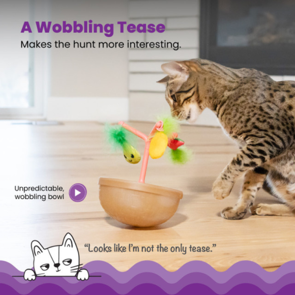 Juguete Hunt N' Wobble Fruit Bowl - Imagen 4