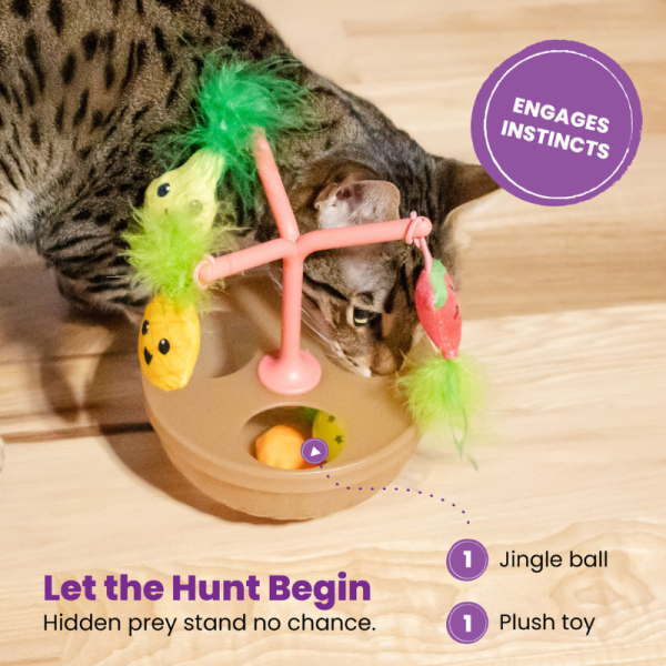Juguete Hunt N' Wobble Fruit Bowl - Imagen 2