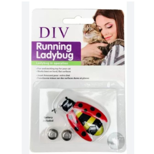 Juguete Div LadyBug